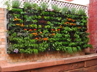 new-vertical-garden