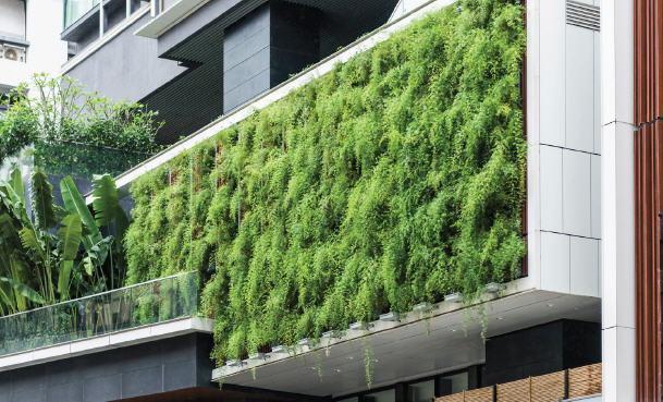 vertical-garden